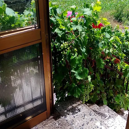 Etna Bed & Breakfast