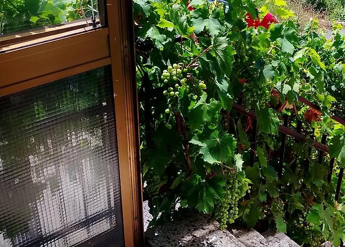 Etna Bed and breakfast